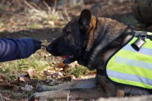 17.02.2019 Training Nanzenbach